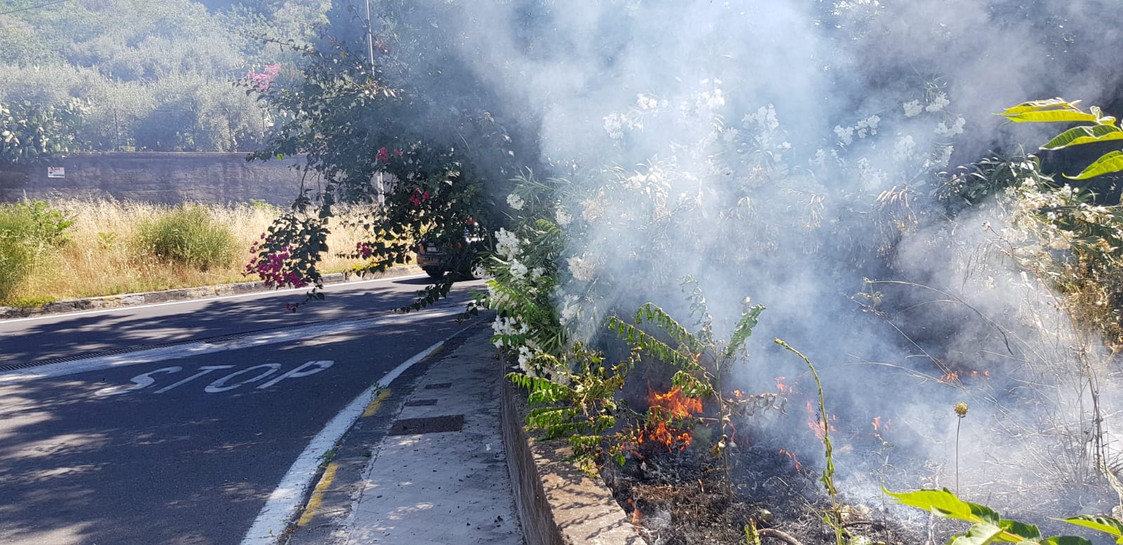 Allarme incendi nel IV municipio